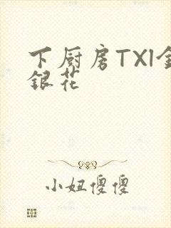 下厨房TXl金银花