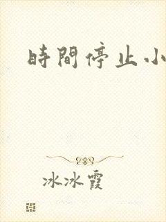 时间停止小说