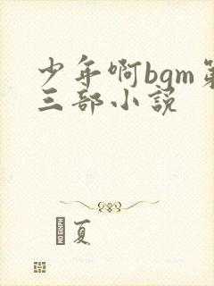 少年啊bgm第三部小说