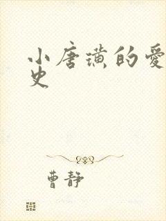 小唐璜的爱情历史