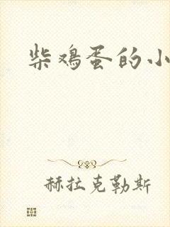 柴鸡蛋的小说