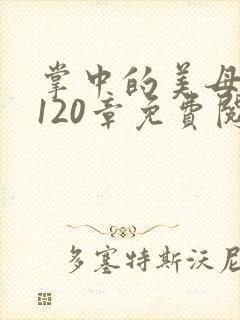 掌中的美母版主120章免费阅读
