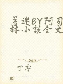 着迷BY阿司匹林小说全文免费阅读