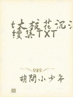 t大校花沉浮录续集TXT