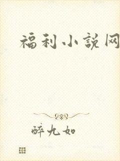福利小说网