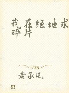 我在绝地求生捡碎片