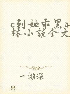 c到她乖黑暗森林小说全文阅读