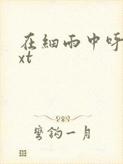 在细雨中呼喊txt