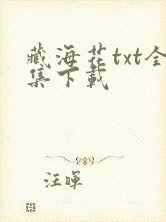 藏海花txt全集下载