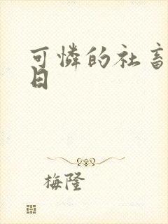 可怜的社畜东度日