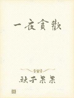 一夜贪欢