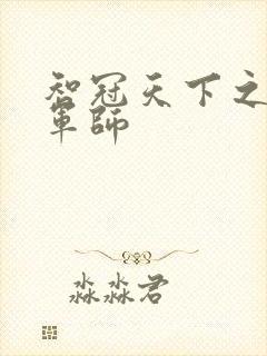 《智冠天下之风流军师》小说封面