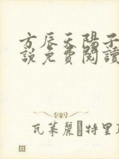 方辰天阳子的小说免费阅读