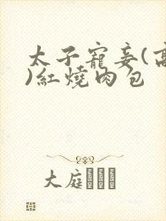 太子宠妾(高肉)红烧肉包
