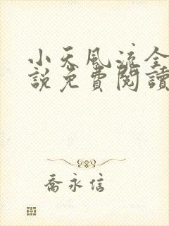 小天风流全集小说免费阅读