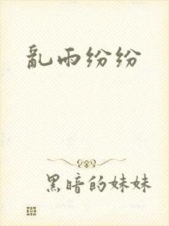 《乱雨纷纷》小说封面