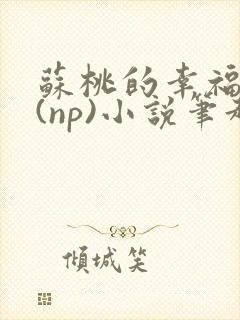 苏桃的幸福生活(np)小说笔趣阁沐沐