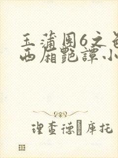 玉蒲团6之色情西厢艳谭小说封面