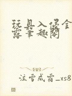 玩具入侵金银花露笔趣阁