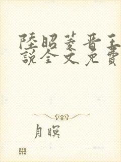 陆昭菱晋王的小说全文免费阅读