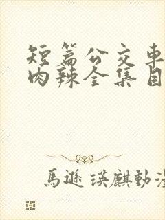 短篇公交车高h肉辣全集目录