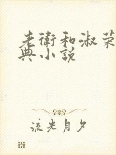 老卫和淑荣的经典小说