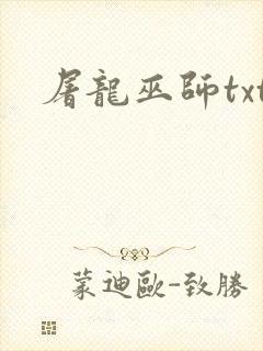 屠龙巫师txt