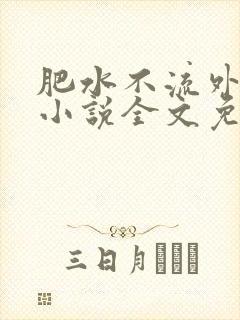 肥水不流外人田小说全文免费阅读全本免