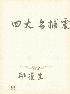 四大名捕震关东