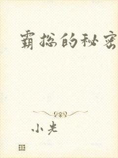 霸总的秘密教学