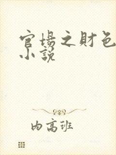 官场之财色诱人小说