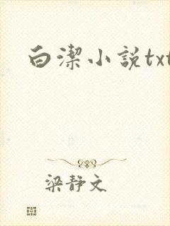 白洁小说txt