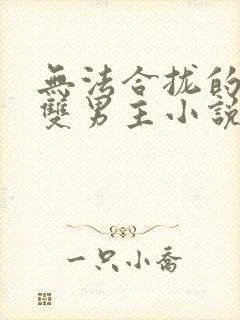 无法合拢的总裁双男主小说