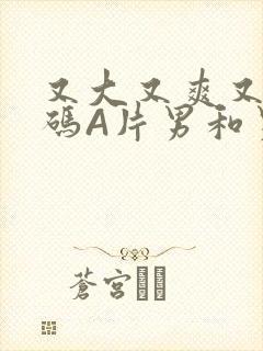 又大又爽又黄无码A片男和男