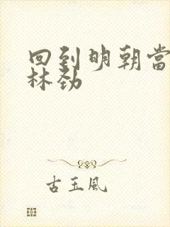 回到明朝当王爷林劲