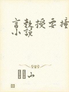 言教授要撞坏了小说