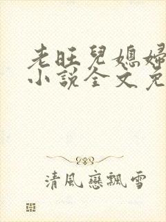 老旺儿媳妇秦雨小说全文免费阅读封面