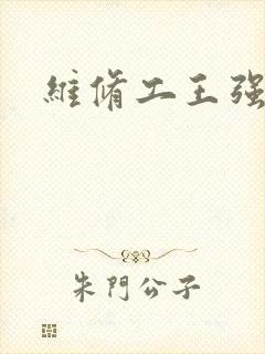 维修工王强张婷