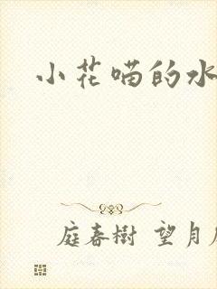 小花喵的水蜜桃