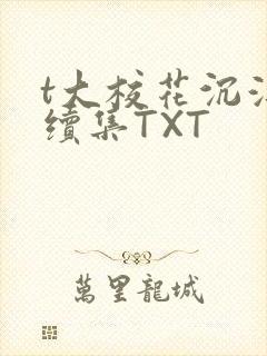 t大校花沉浮录续集TXT