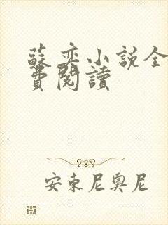 苏奕小说全文免费阅读