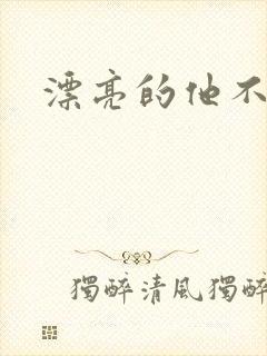 漂亮的他不说话