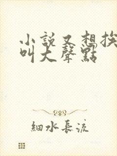 小说又想挨C了叫大声点