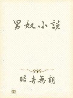 《男奴小说》小说封面