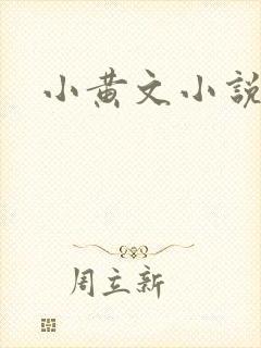 小黄文小说