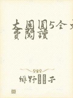 大团圆5全文免费阅读