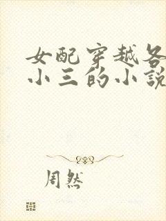 女配穿越各个做小三的小说