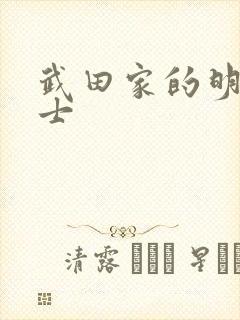 武田家的明国武士