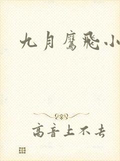 九月鹰飞小说