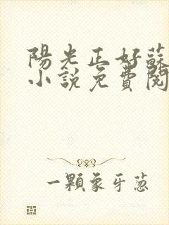 阳光正好苏玥玥小说免费阅读